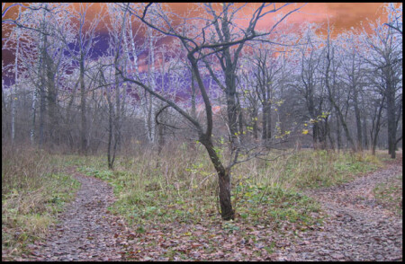 Одиночество