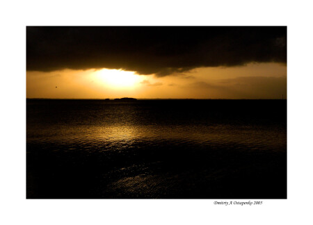 FROM DAWN TILL DUSK