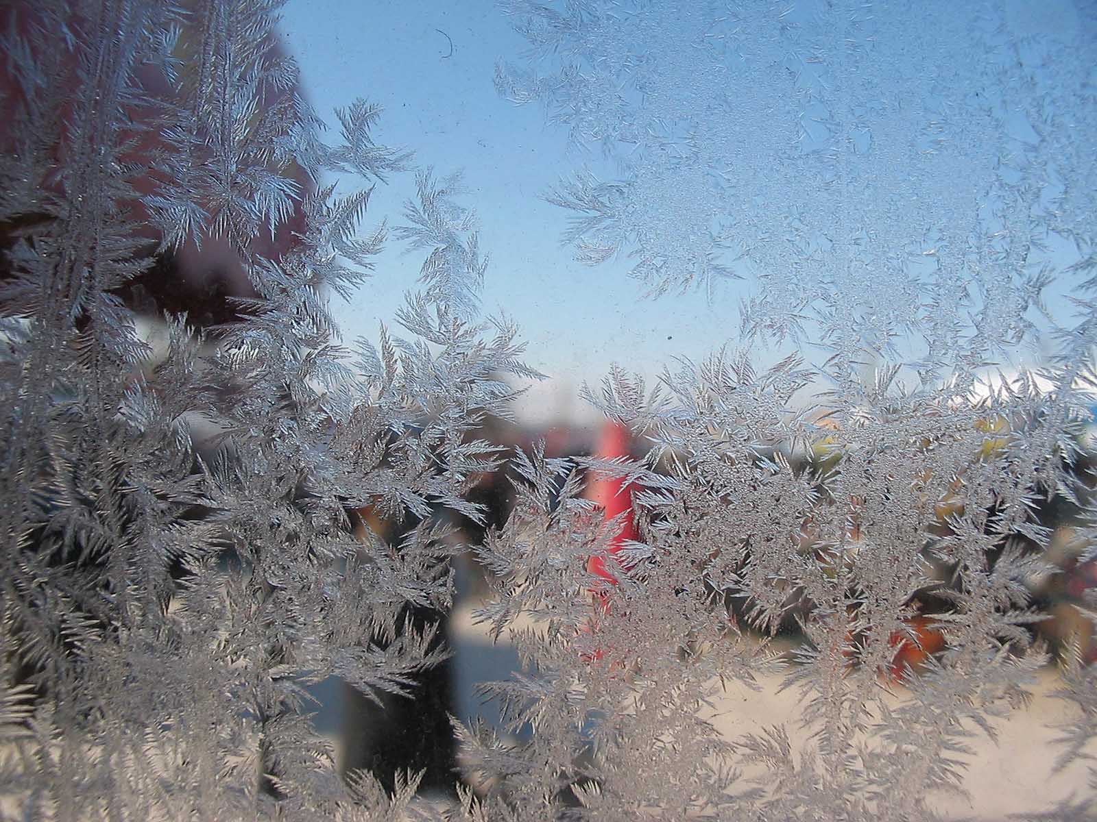 -11