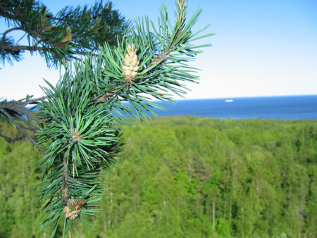 Близкое ... далекое ...