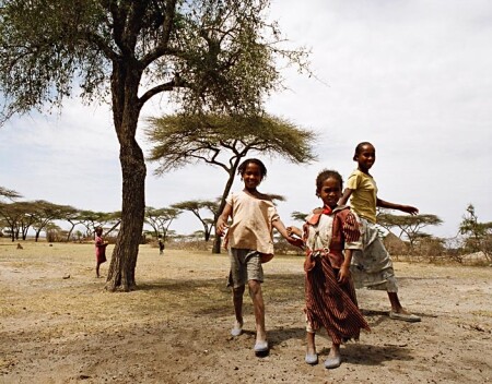 Любопытство