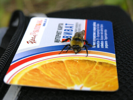 Взлетная полоса