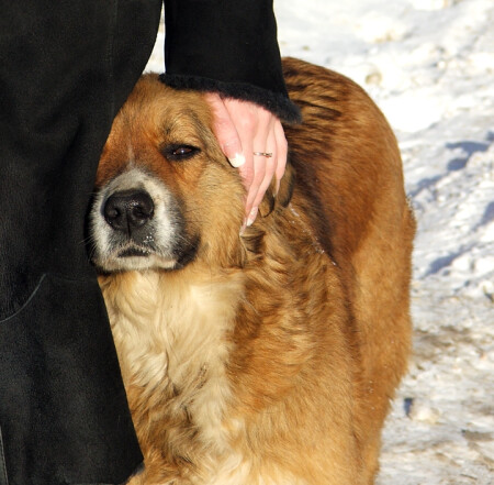 Это моя хозяйка!