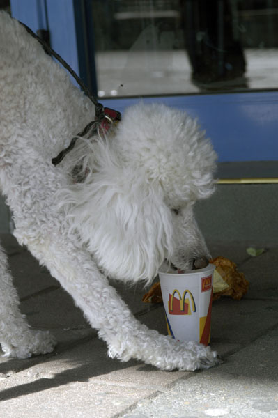 McDonald`s