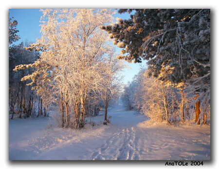 Зимнее утро