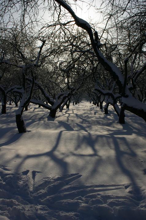 аллея страха