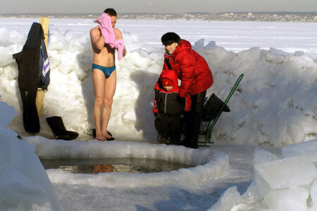 Морж и семейство