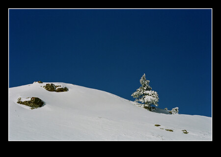 Под небом голубым.