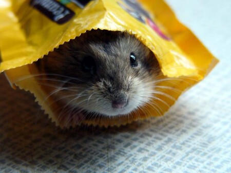 А где m&amp;amp;m ?