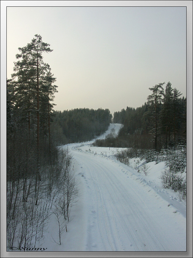 Зимняя дорога