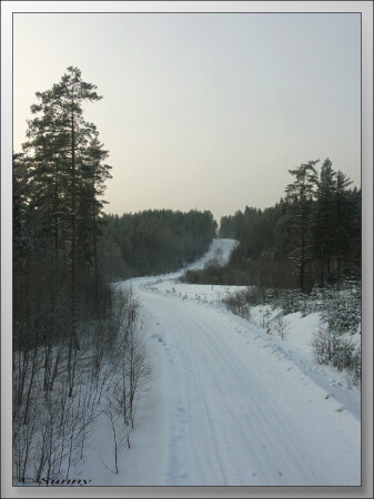 Зимняя дорога