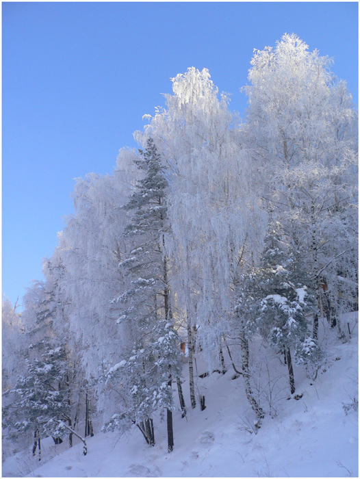 зима