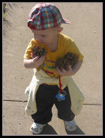 Мои шишки!!!