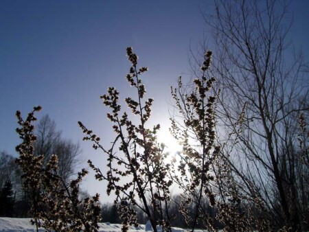 -70 по Фаренгейту.