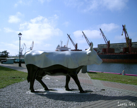 Морская корова