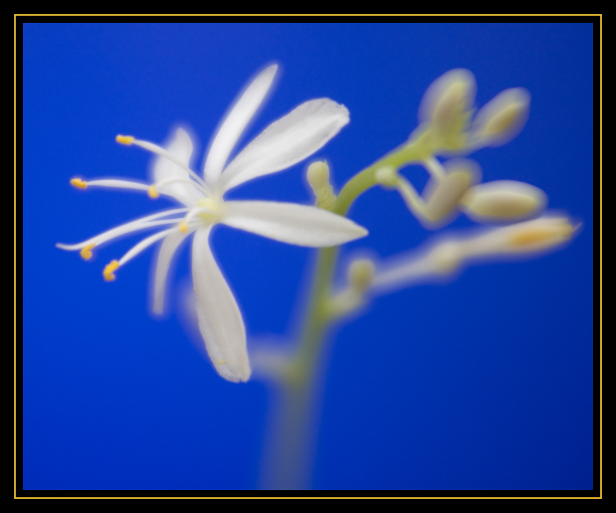 imgp0914
