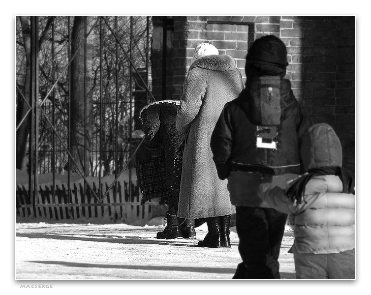 Градации познания