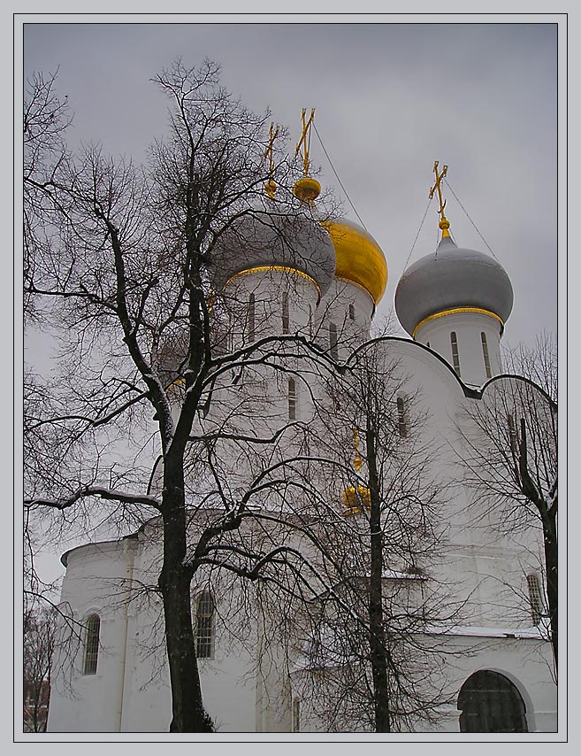 Новодевичий#9