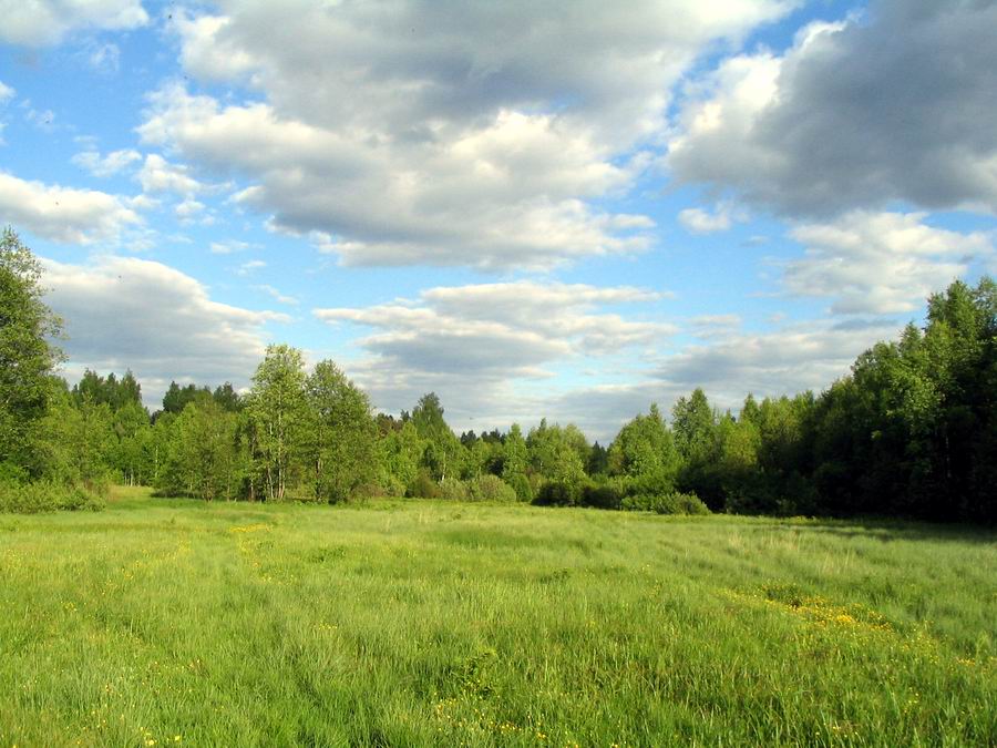 Полянка