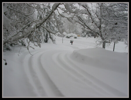 ..... и выпал снег