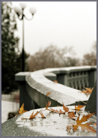 Осенний этюд..