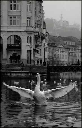 Postcard from the past (Эмблемa гoрoдa)