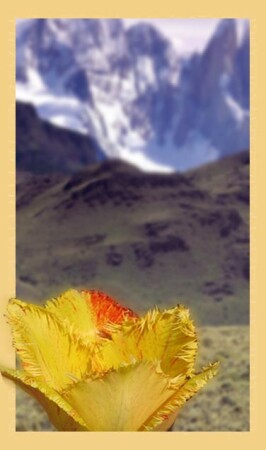 Тяга к высоте