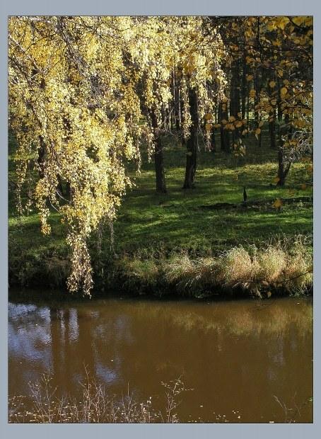 Река Реж 1
