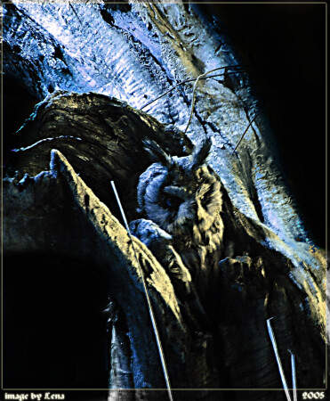 не спалось...