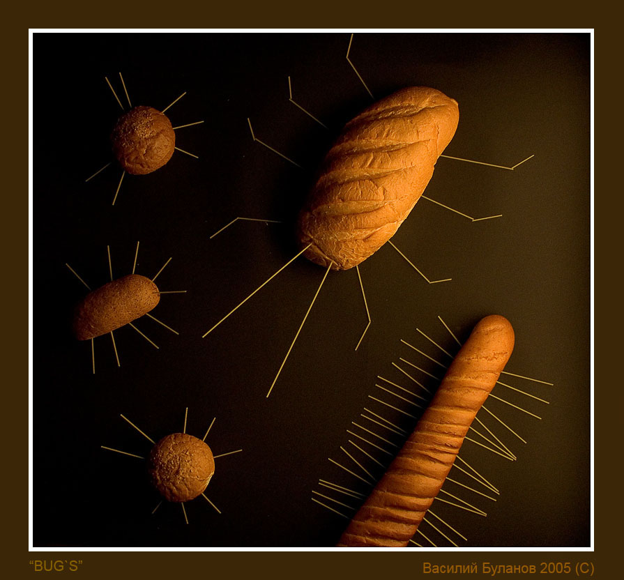 Bug`s