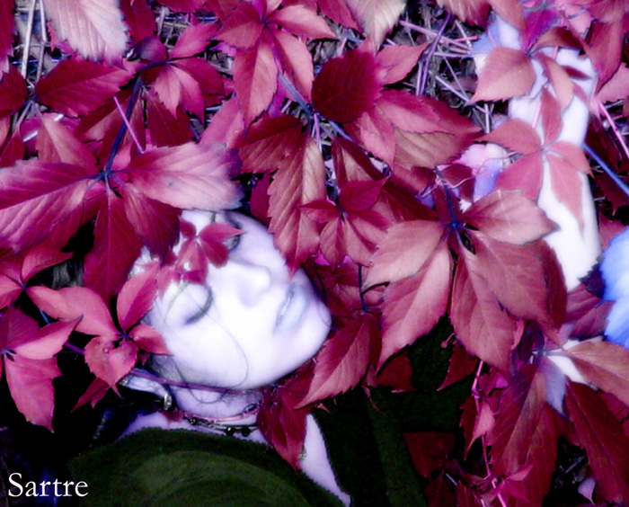 red leaves