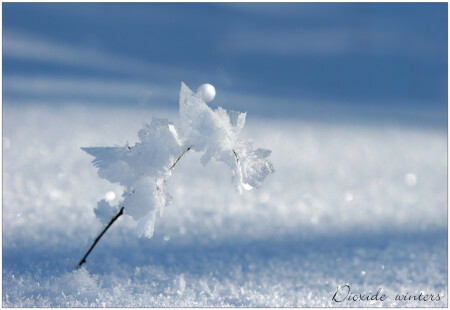 Dioxide winters