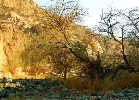 ISRAEL NATIONAL TRAIL в Эйлате (20)