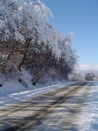 Дорога