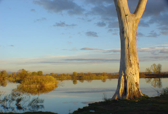 nature