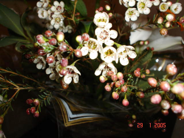 Букет