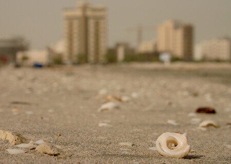 моллюски отступают...