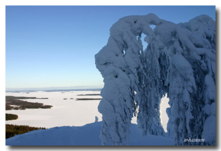 под голубыми небесами
