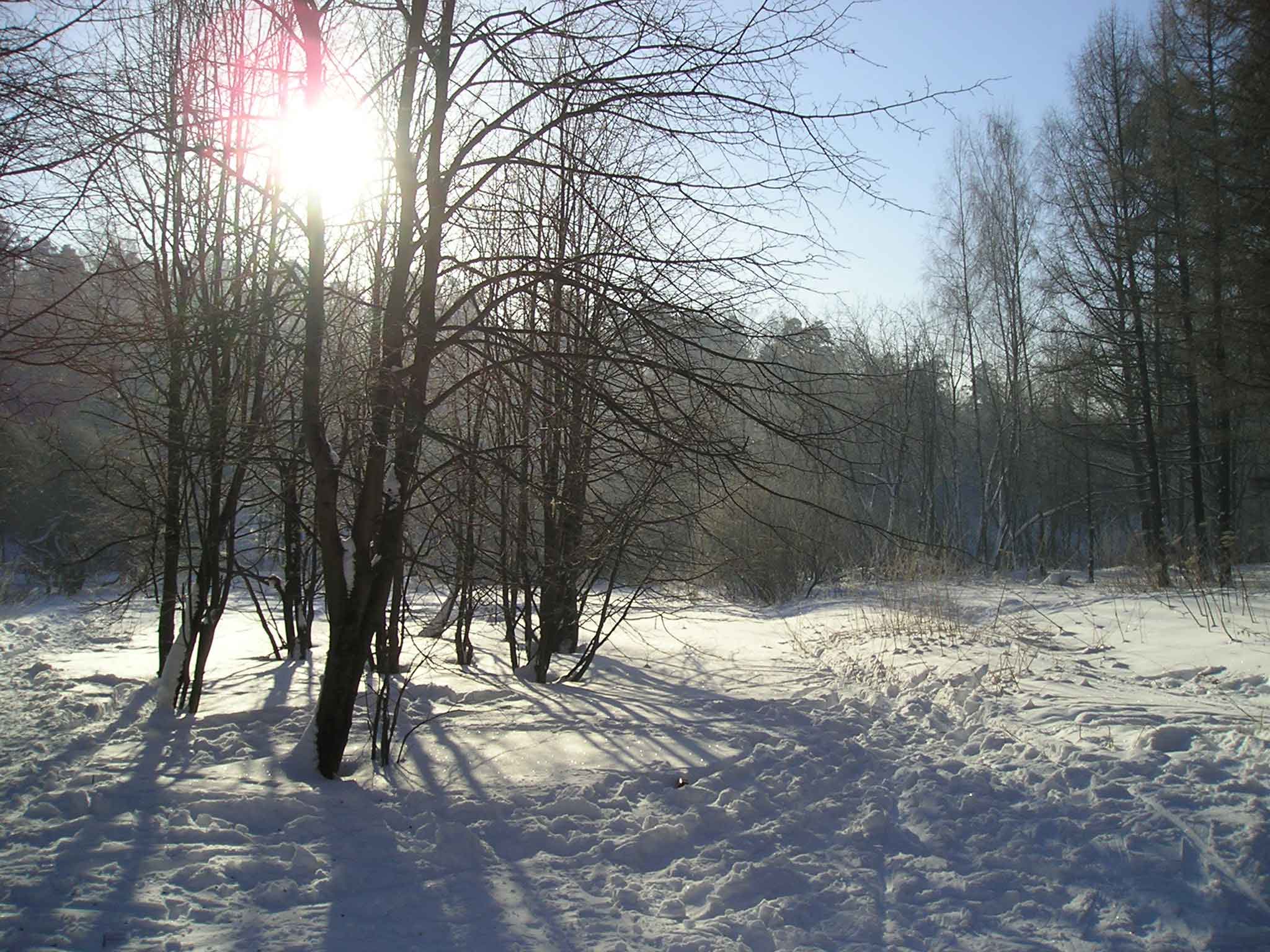 Холодная тишина