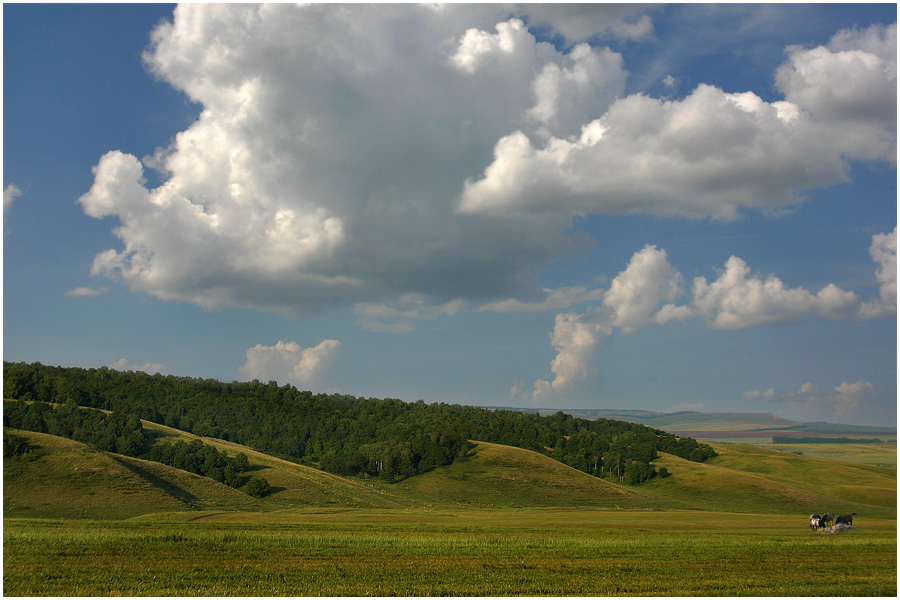 Самарская земля-2