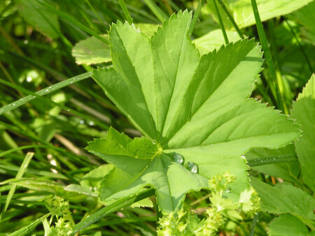 они рядом.. скоро всё будет..
