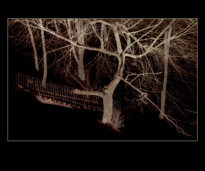 In Secret Garden