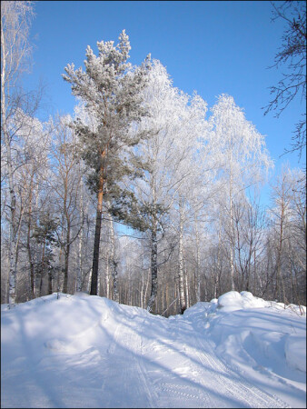 Зимняя дорога
