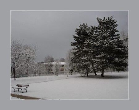 влюбленных нет