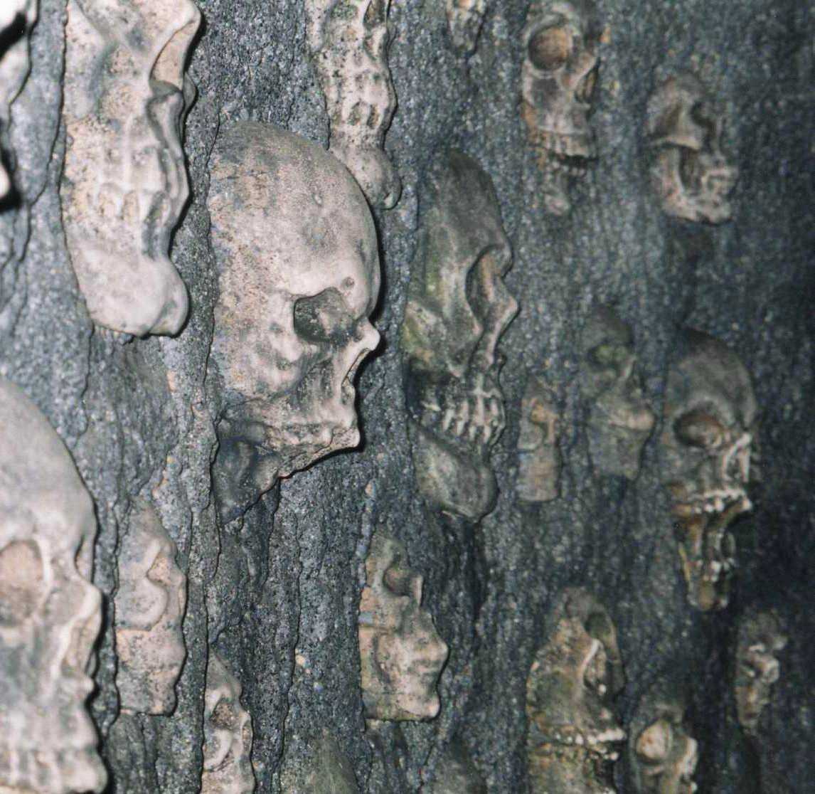 skull cry