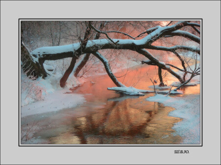 загадки природы?