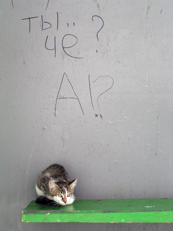 А?!..