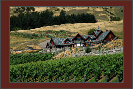 winery