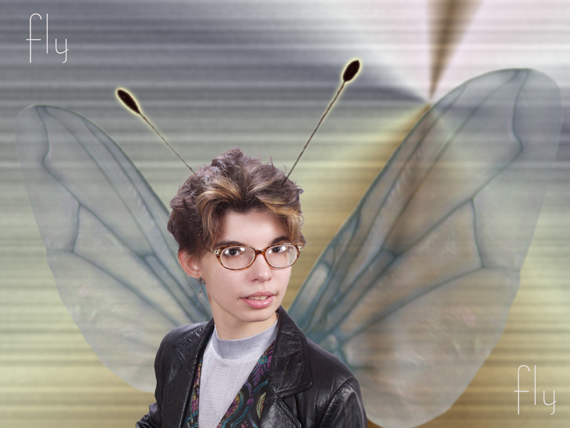 fly