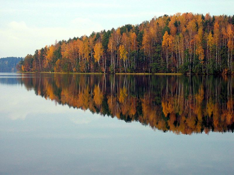 немного осени